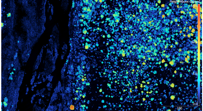 top-down view of a point cloud from an herbivore exclosure experiment in Kruger National Park, South Africa