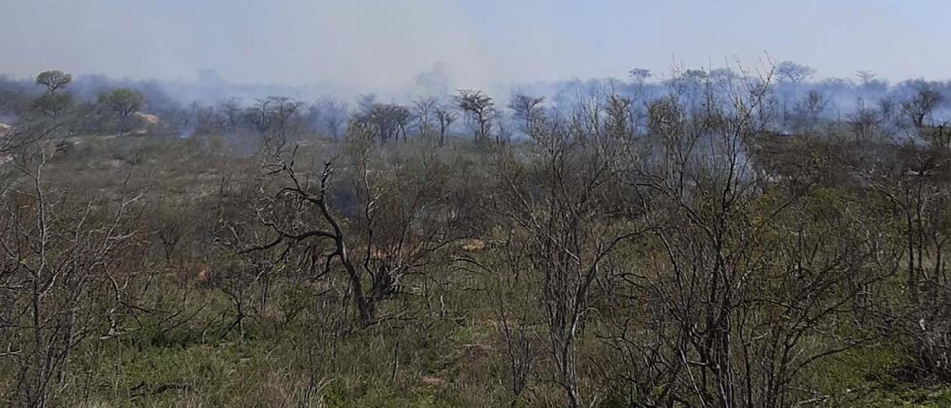 Kruger