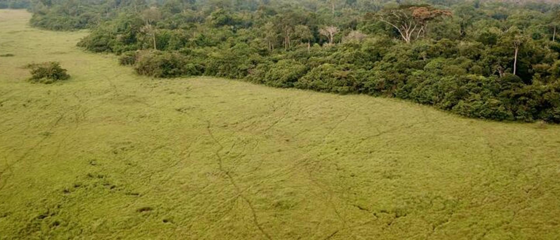 Landscape image of Odzala National Park, Republic of Congo